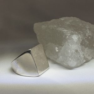 اکسسوری مردانه انگشتر فیلی نقره 925
